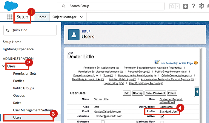 A user’s profile in Salesforce.